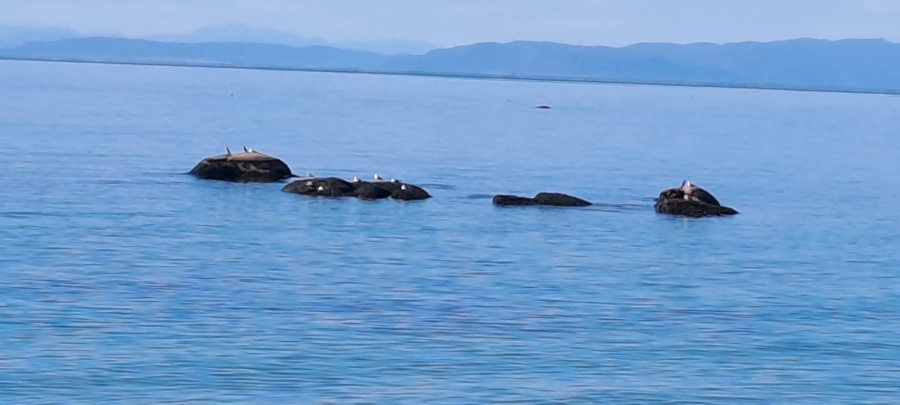 0 Bedroom Property for Sale in St Helena Views Western Cape